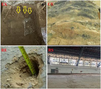 Microbial diversity in earthen site of exhibition Hall of pit no. 1 at the terracotta warriors Museum in Emperor Qinshihuang’s mausoleum site museum and its correlation with environmental factors